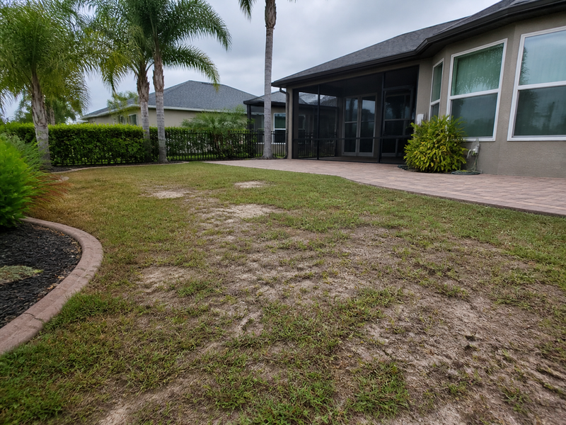 Artificial Turf vs Grass in Florida: The Real 10-Year Cost